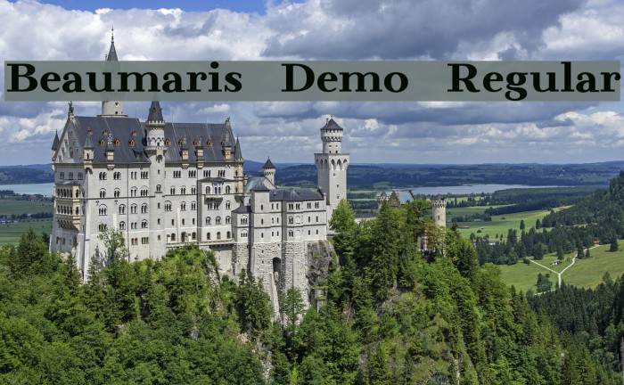 Beaumaris Demo Regular Font examples