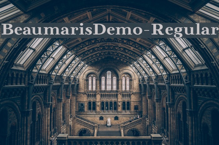 BeaumarisDemo-Regular Font examples