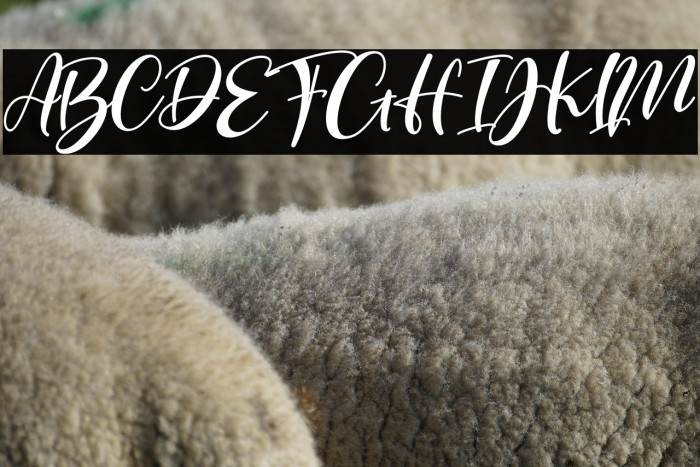 Beauthy Flower Example 3