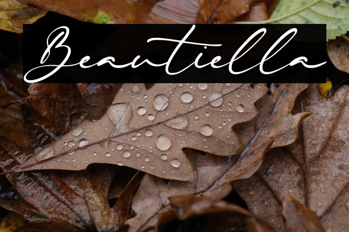 Beautiella Example 1