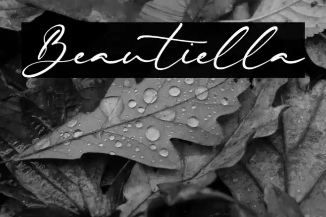 Beautiella Font examples