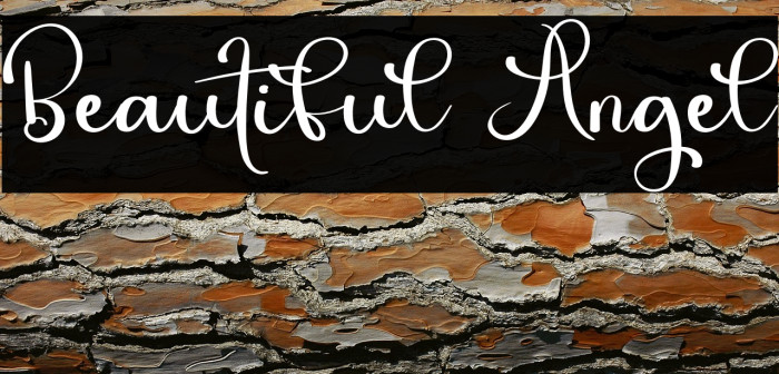Beautiful Angel Example 2