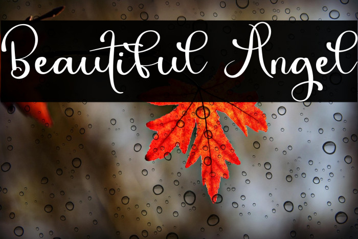 Beautiful Angel Example 3