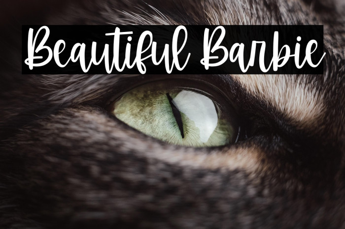 Beautiful Barbie Caratteri examples