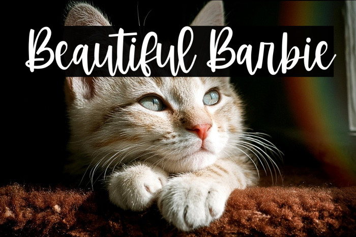 Beautiful Barbie Caratteri examples