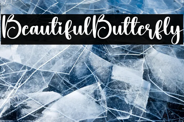 Beautiful Butterfly Example 1