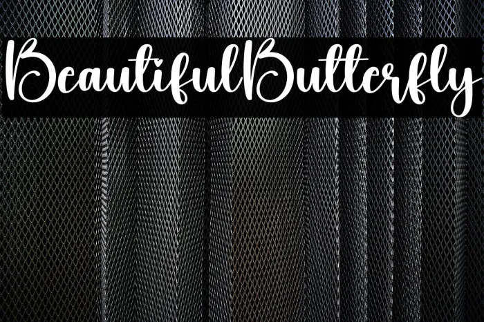 Beautiful Butterfly Example 2