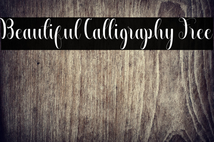 Beautiful Calligraphy Free Example 1