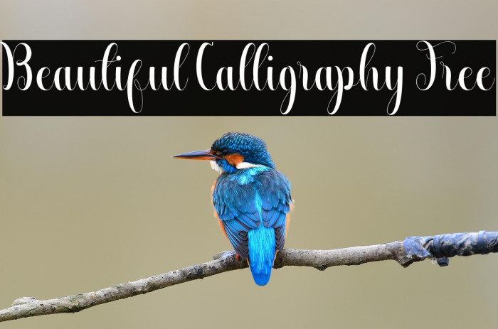 Beautiful Calligraphy Free Example 3