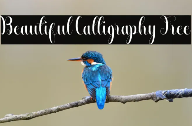 Beautiful Calligraphy Free Example 3