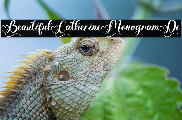Beautiful Catherine Monogram De Example 2