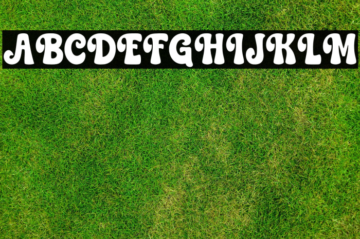 Beautiful Christmas Regular Example 1