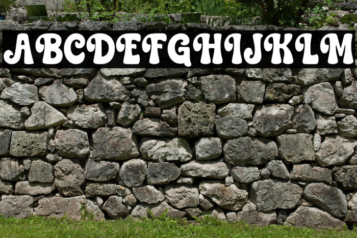 Beautiful Christmas Regular Example 2