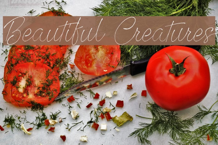 Beautiful Creatures Font examples