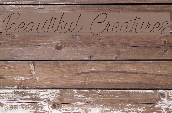 Beautiful Creatures Font examples