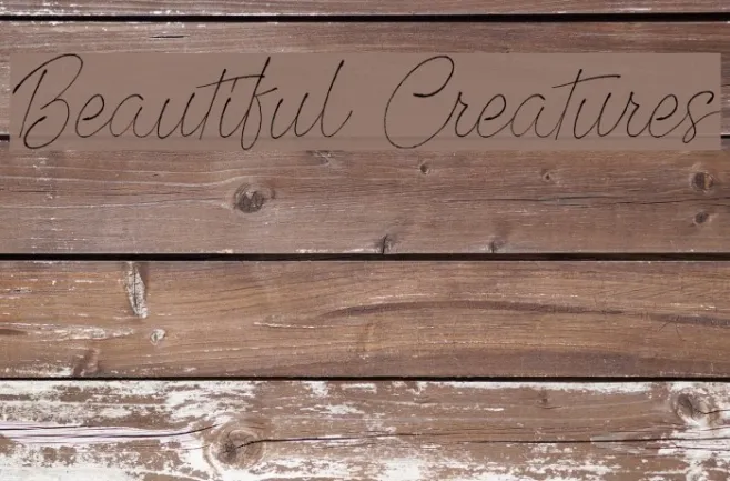 Beautiful Creatures Example 3