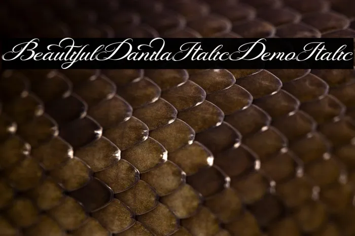 Beautiful Danila Italic Demo Italic Example 2