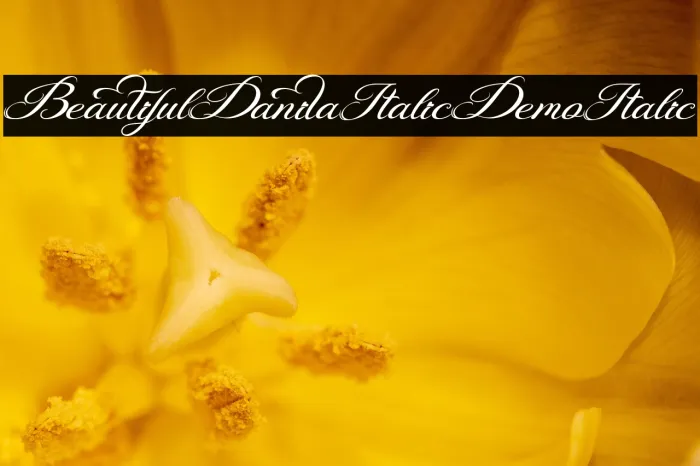 Beautiful Danila Italic Demo Italic Example 3