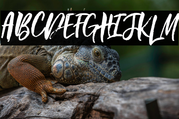 Beautiful Day Example 1