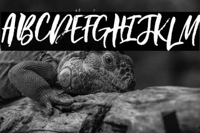 Beautiful Day Font examples