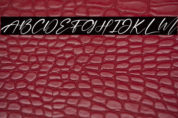 Beautiful Garden Italic Example 2