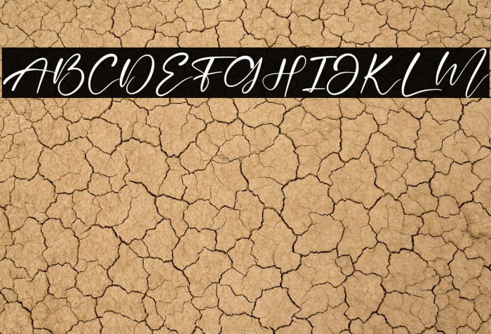 Beautiful Garden Example 3