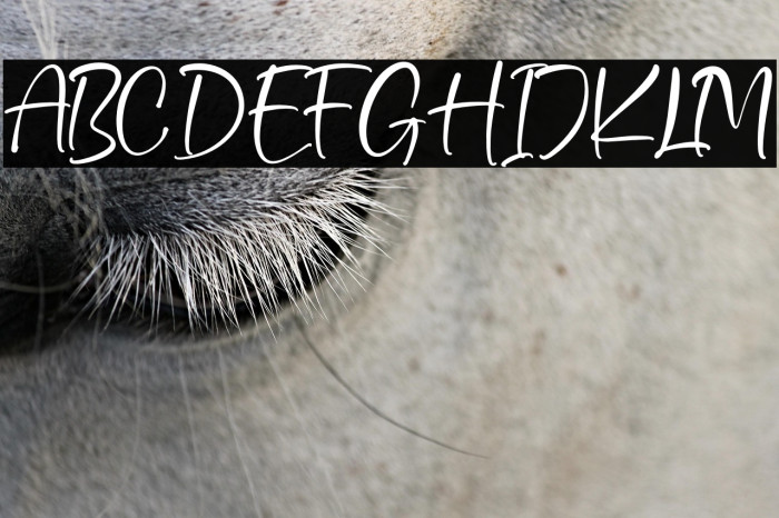 Beautiful Gelista Example 3