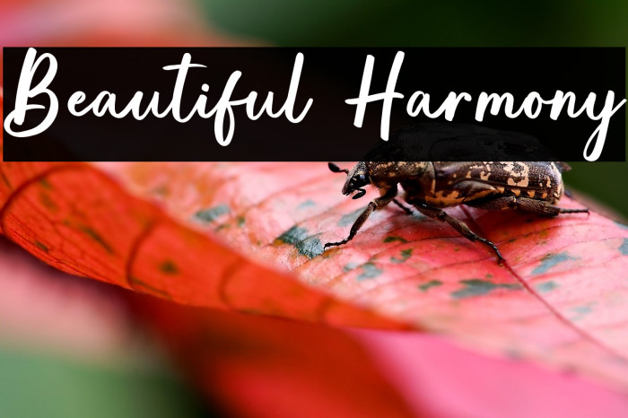 Beautiful Harmony Example 3