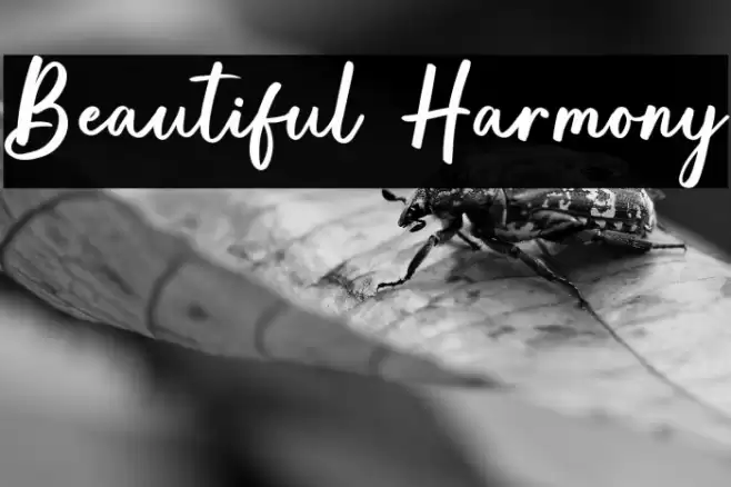 Beautiful Harmony Fuentes examples