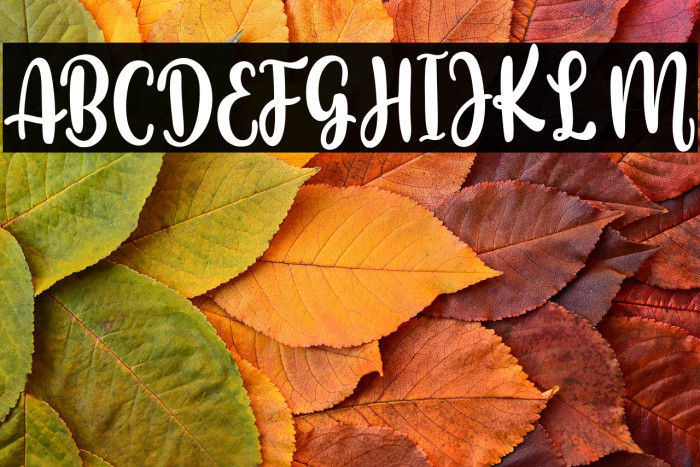 Beautiful Holiday Example 2