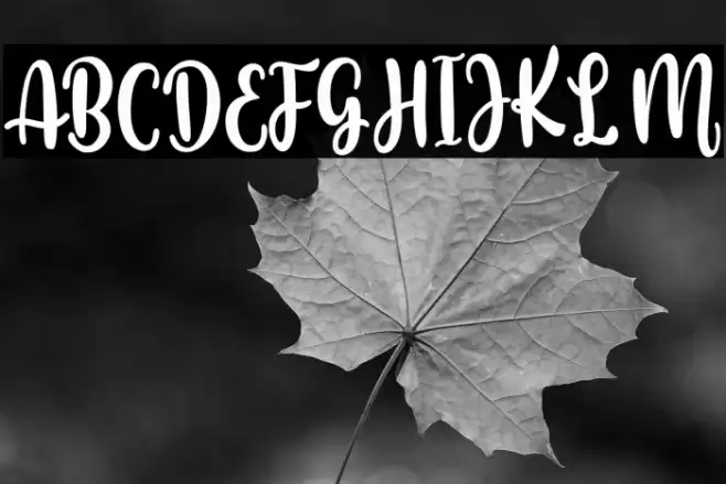 Beautiful Holiday Font examples