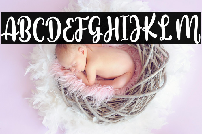 Beautiful Holiday Example 3