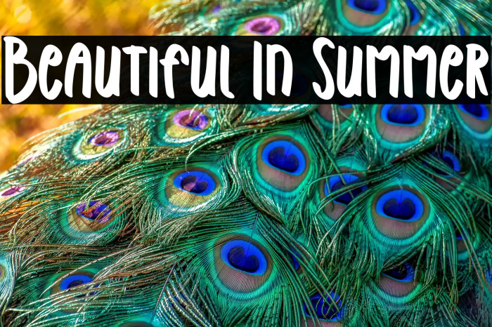 Beautiful In Summer Example 3