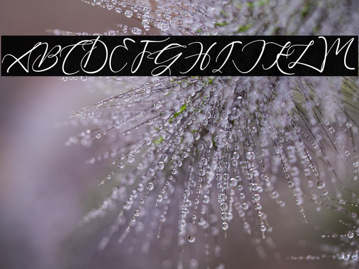 Beautiful Kisses Example 1