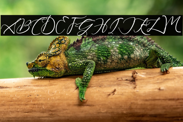 Beautiful Kisses Example 2