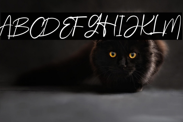 Beautiful Lenttering Example 1