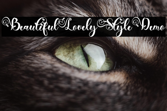 Beautiful Lovely Style Demo Example 1