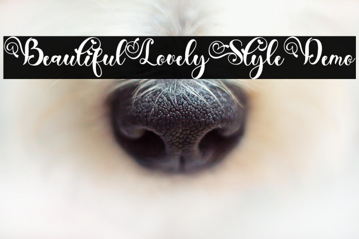 Beautiful Lovely Style Demo Example 2