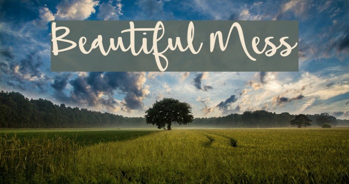 Beautiful Mess Polices examples