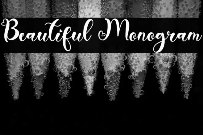 Beautiful Monogram Font examples