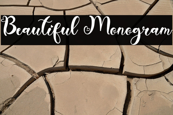 Beautiful Monogram Example 2