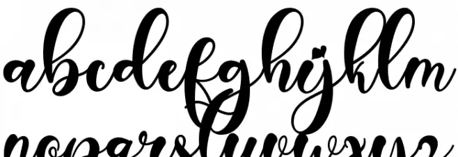 Beautiful Monogram Font LOWERCASE