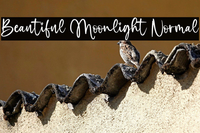 Beautiful Moonlight Normal Example 2
