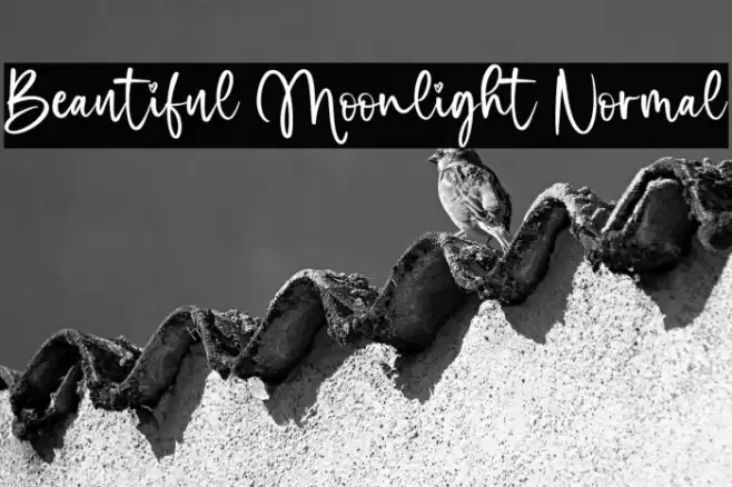 Beautiful Moonlight Normal خط examples