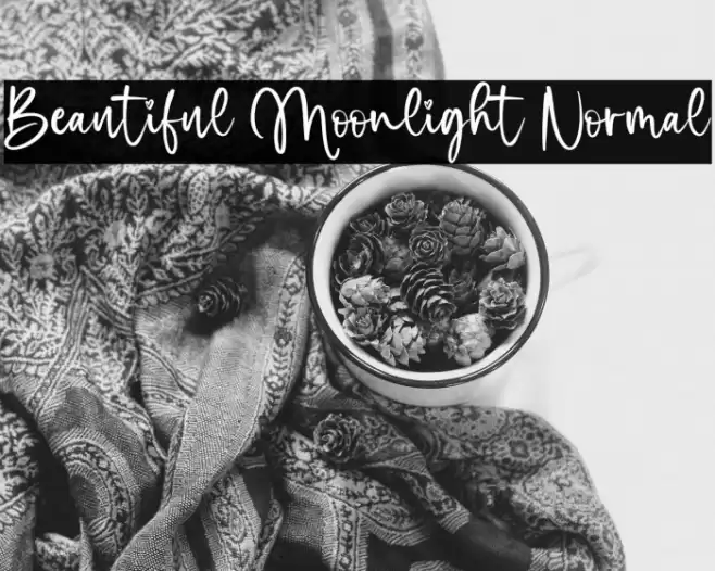 Beautiful Moonlight Normal خط examples