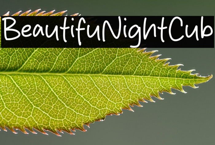 Beautiful Night Club Example 3