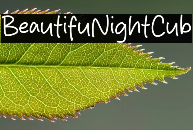 Beautiful Night Club Example 3