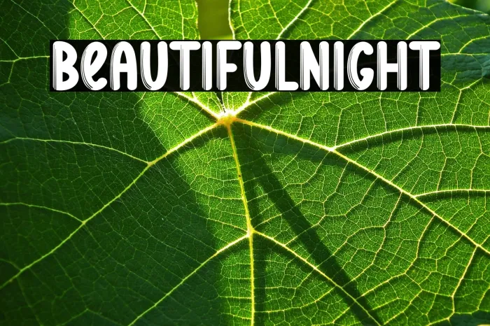 Beautiful Night Example 1