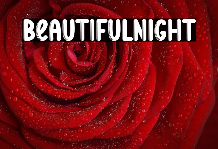Beautiful Night Example 2
