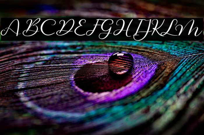 Beautiful Odete Example 1